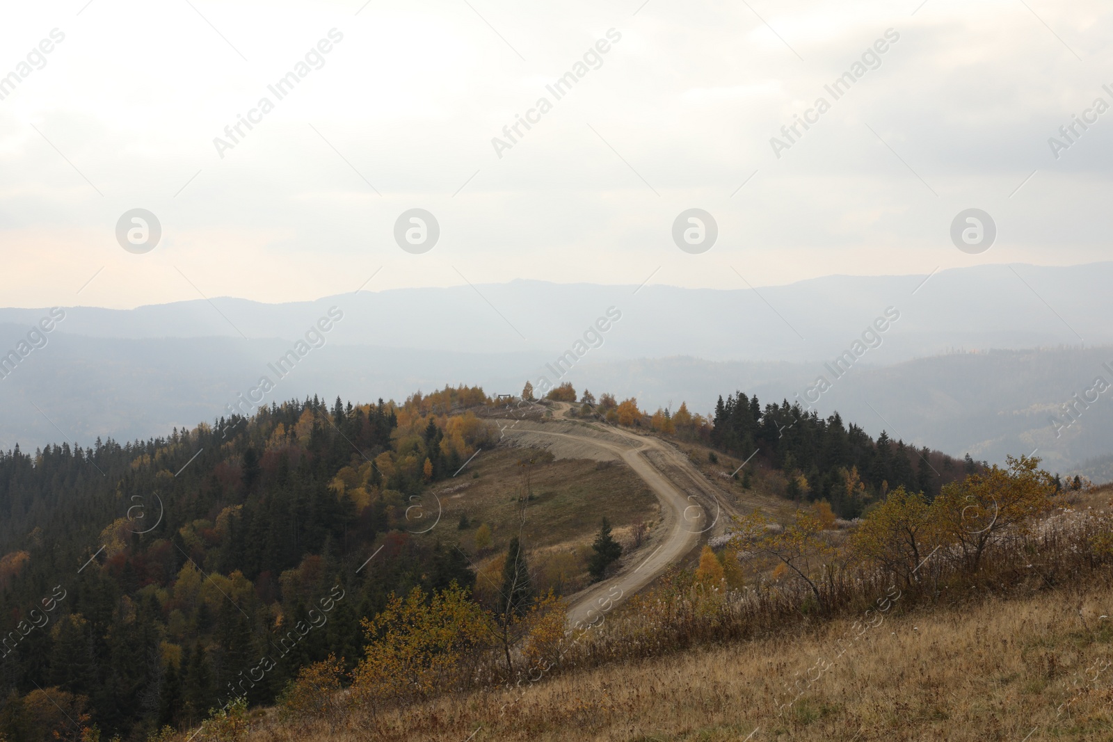 Photo of Beautiful landscape with forest in mountains on autumn day