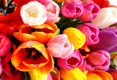 Photo of Beautiful bright spring tulip flowers as background