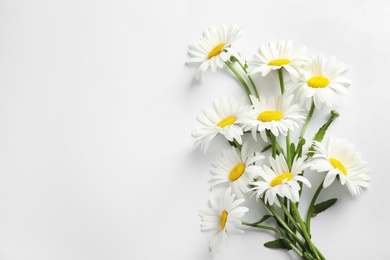 Photo of Bouquet of beautiful chamomile flowers on white background, top view