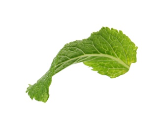 Photo of Fresh green mint leaf on white background