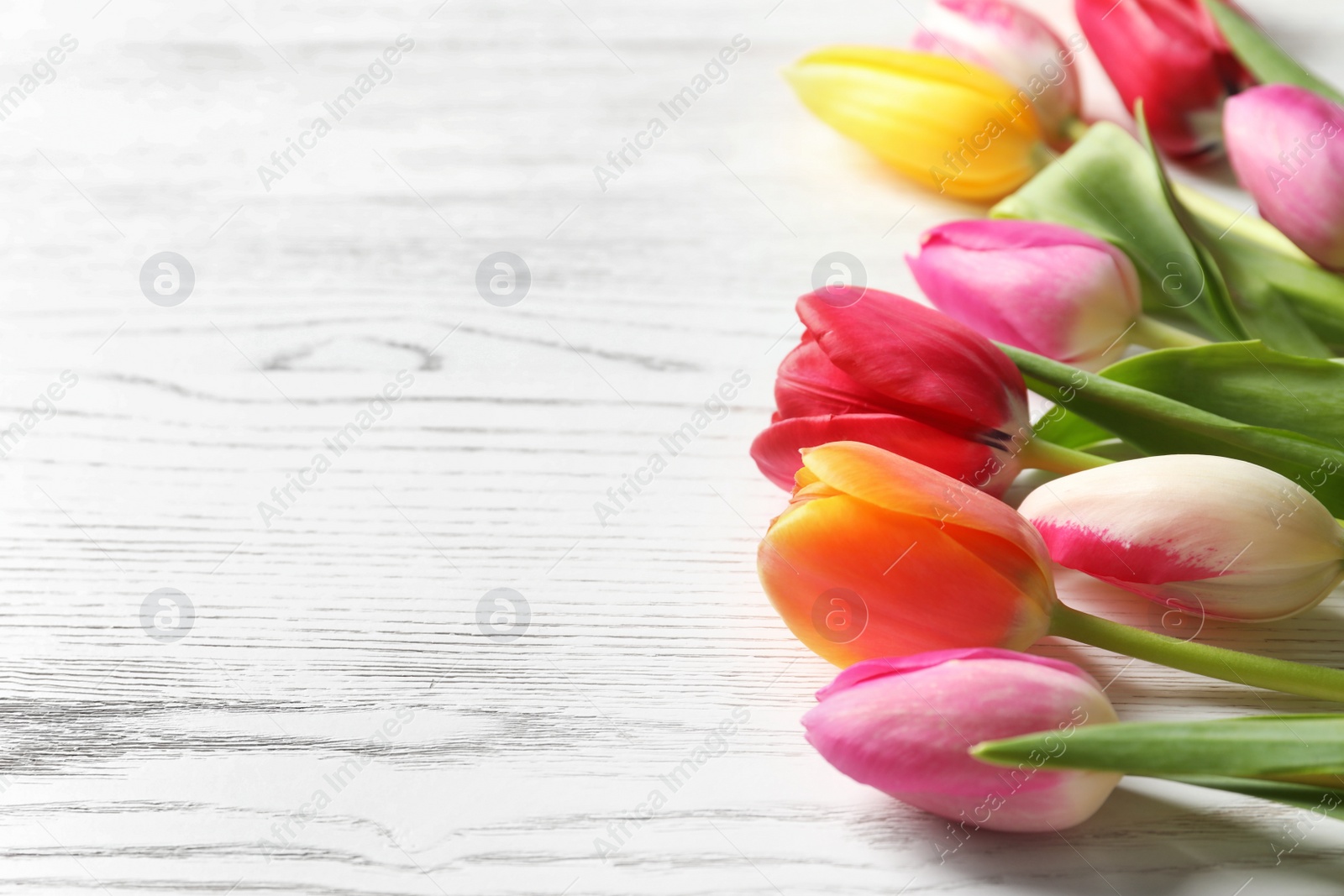 Photo of Beautiful tulips and space for text on wooden background. Spring flowers