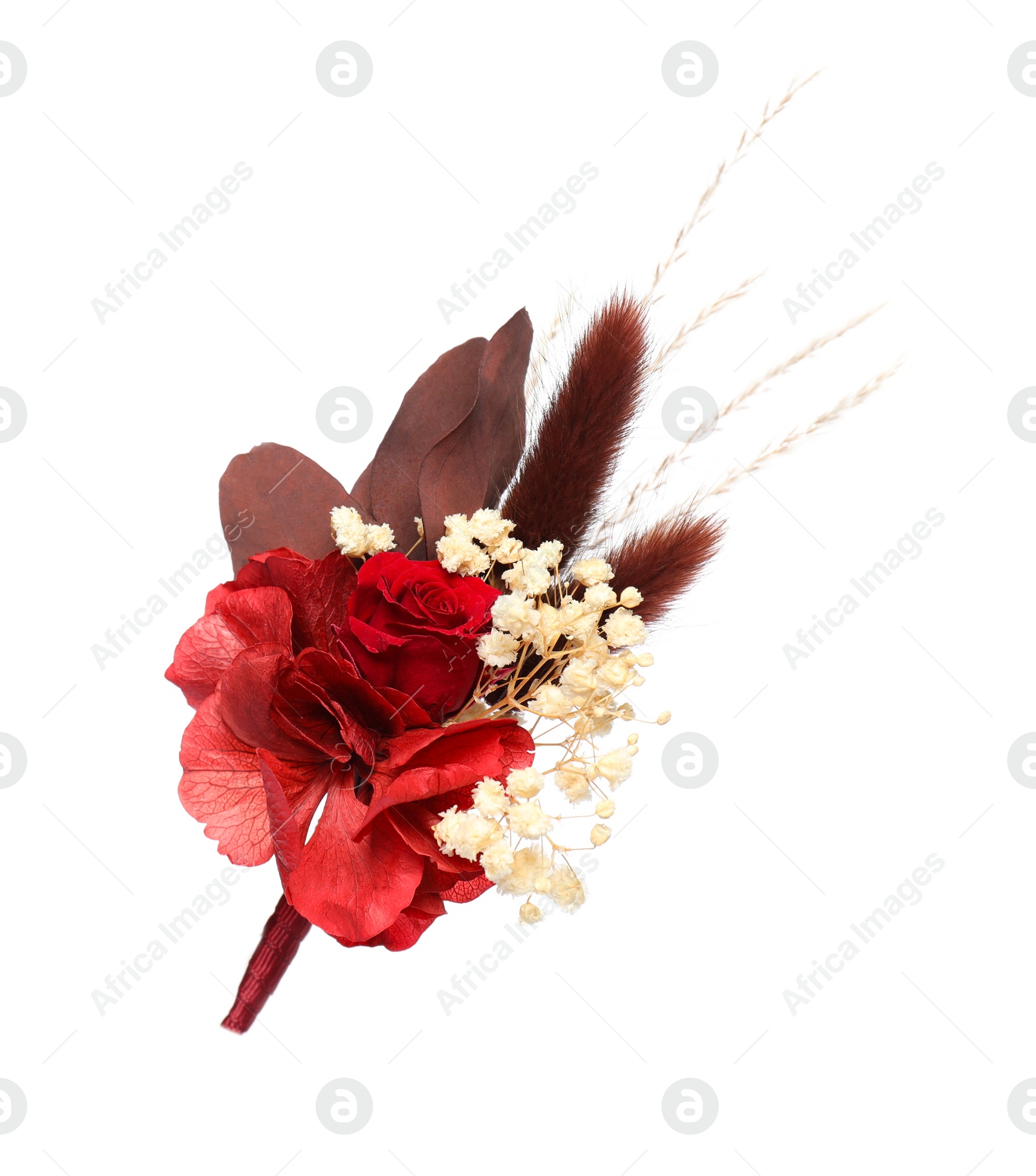 Photo of Beautiful boutonniere with red rose isolated on white