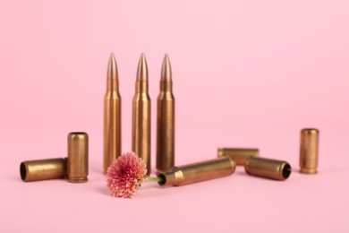 Photo of Bullets, cartridge cases and beautiful chrysanthemum flower on pink background