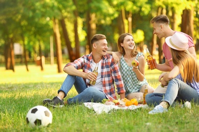 Young people enjoying picnic in park on summer day