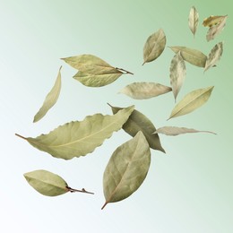 Image of Dry bay leaves falling on pale light green gradient background