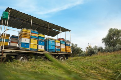 Photo of Trailer with many colorful beehives at apiary