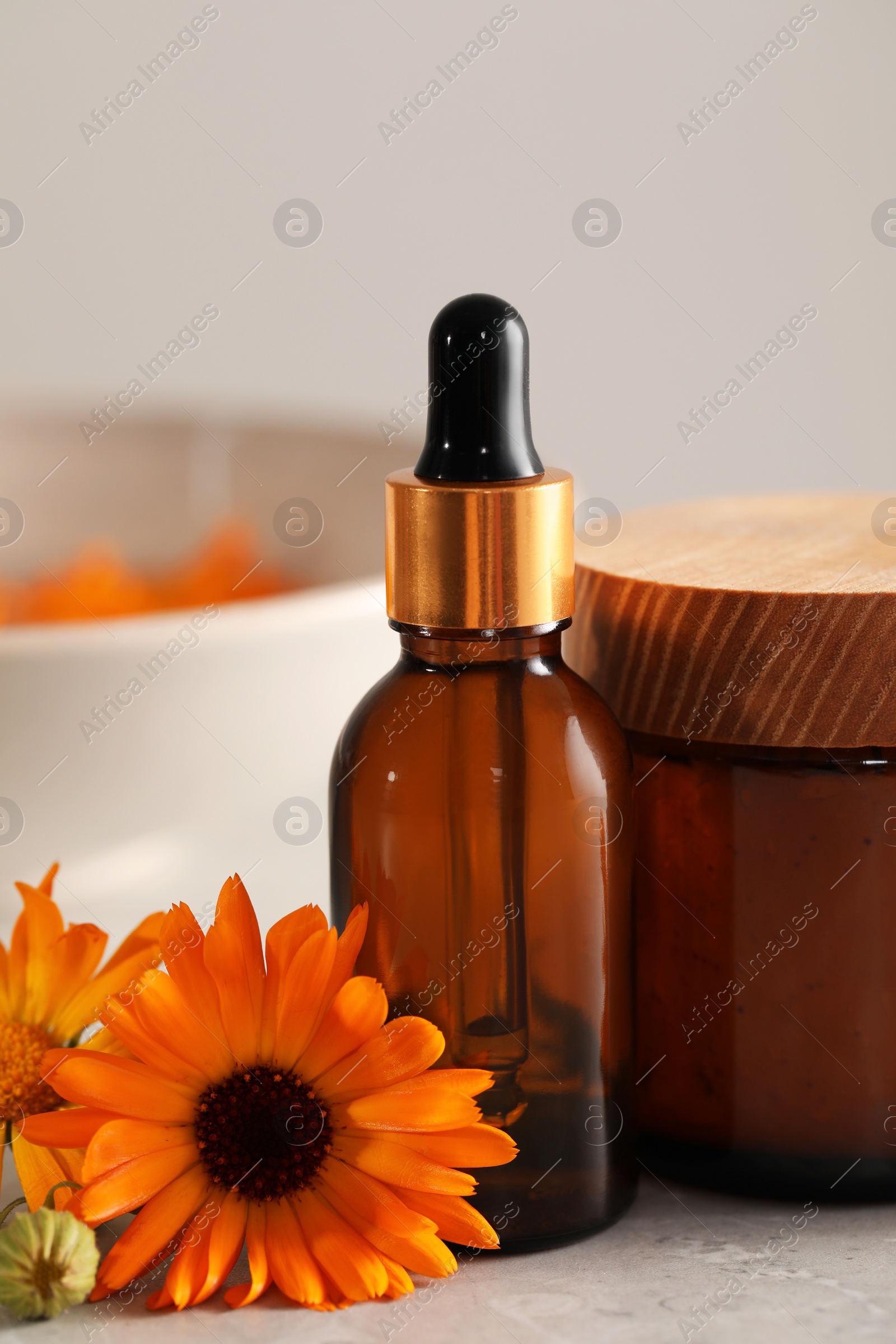 Photo of Bottle and jar of cosmetic products with beautiful calendula flowers on light grey table, closeup