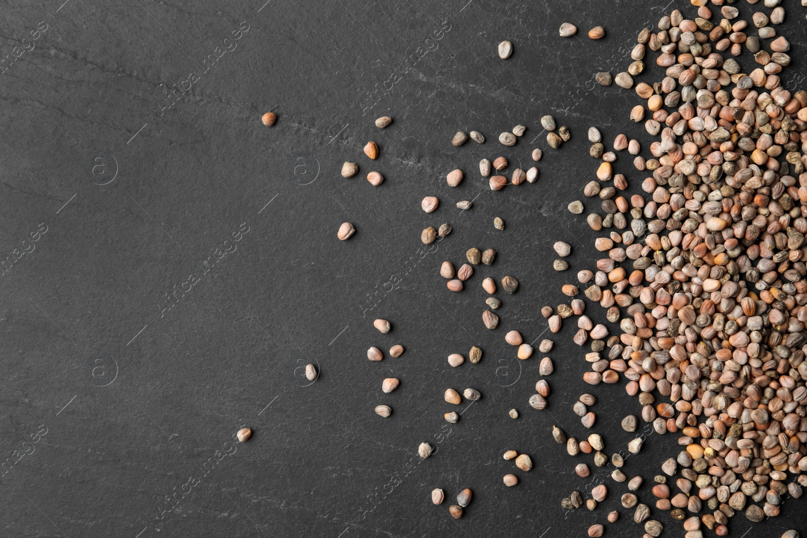 Photo of Raw radish seeds and space for text on grey background, flat lay. Vegetable planting