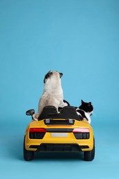 Photo of Adorable pug dog and cat in toy car on light blue background, back view