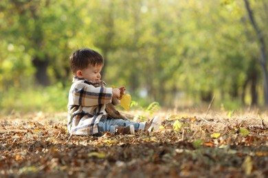 Photo of Cute little child on ground with dry leaves in autumn park, space for text