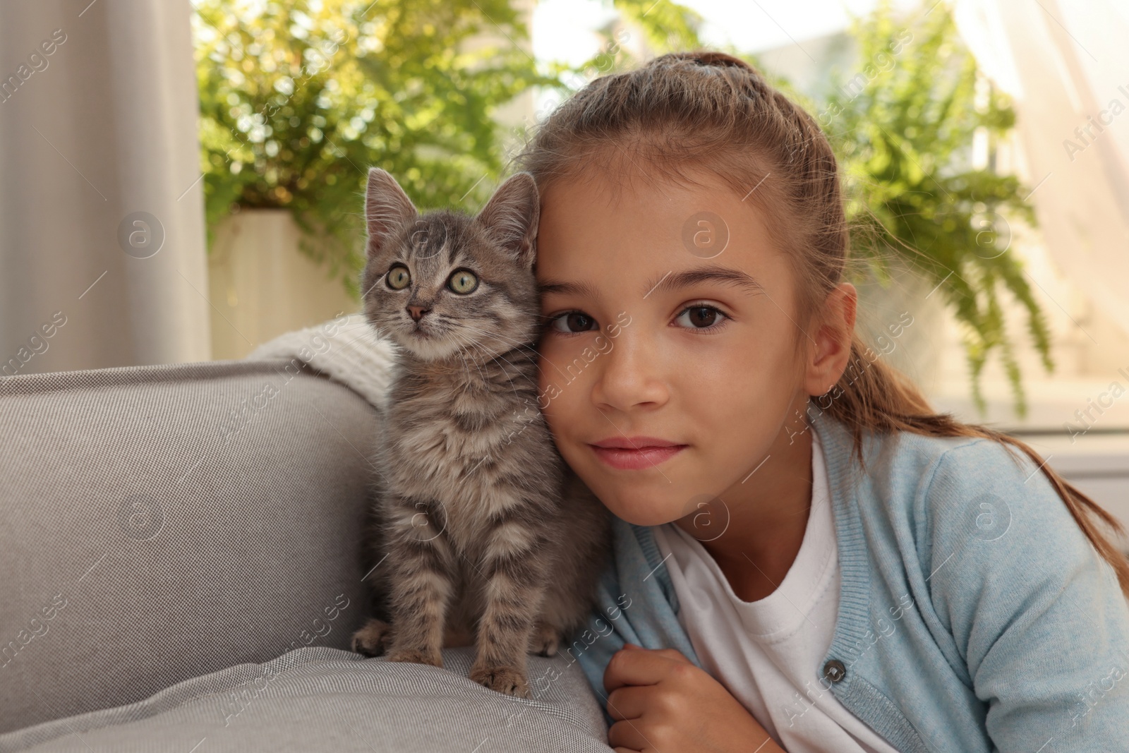 Photo of Cute little girl with kitten on sofa at home. Childhood pet