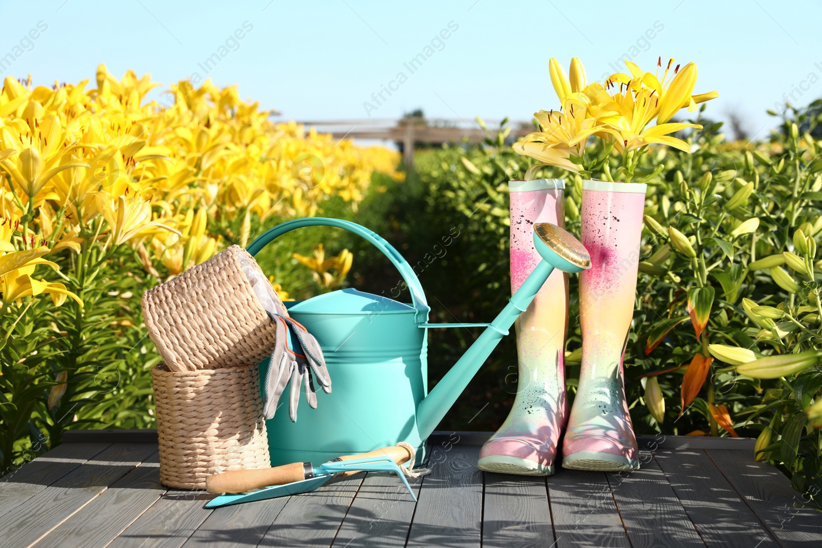 Photo of Rubber boots and gardening tools on grey table in lily field