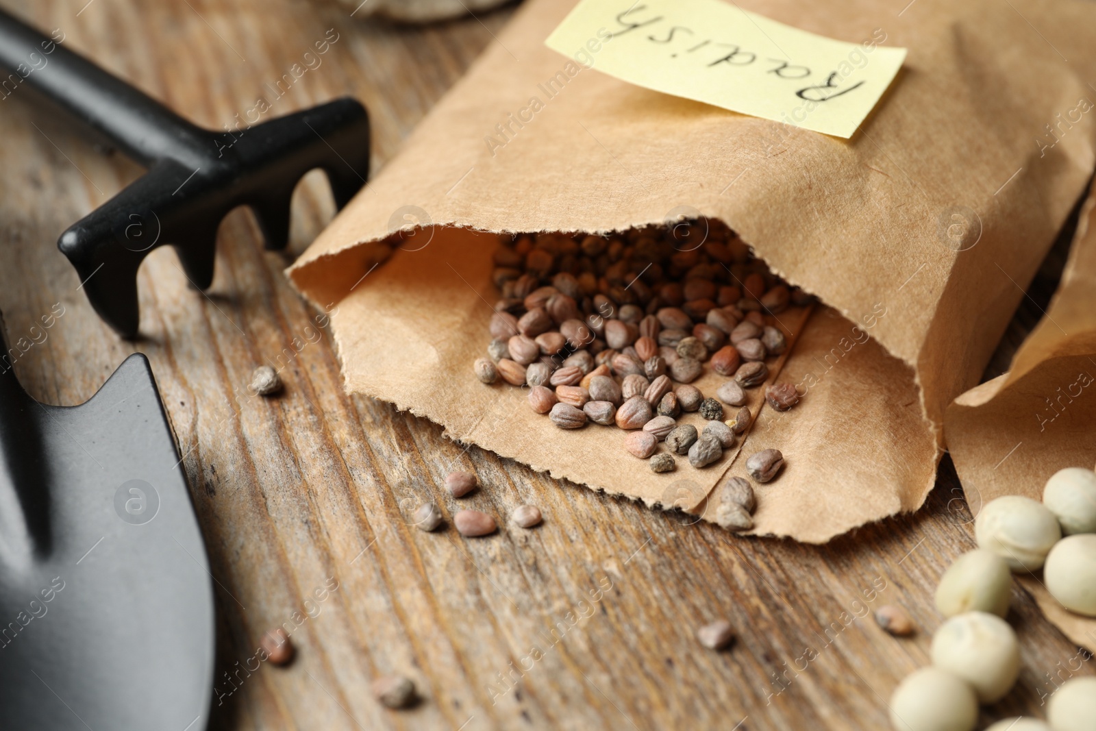 Photo of Vegetable seeds and gardening equipment on wooden table, closeup