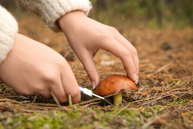 Photo of Woman cutting boletus mushroom with knife in forest, closeup