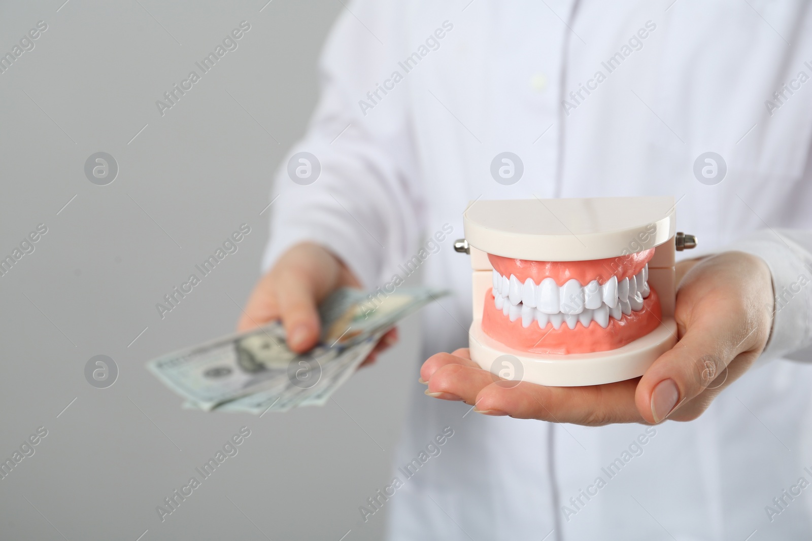 Photo of Dentist holding educational typodont model and dollar banknotes on grey background, closeup. Expensive treatment