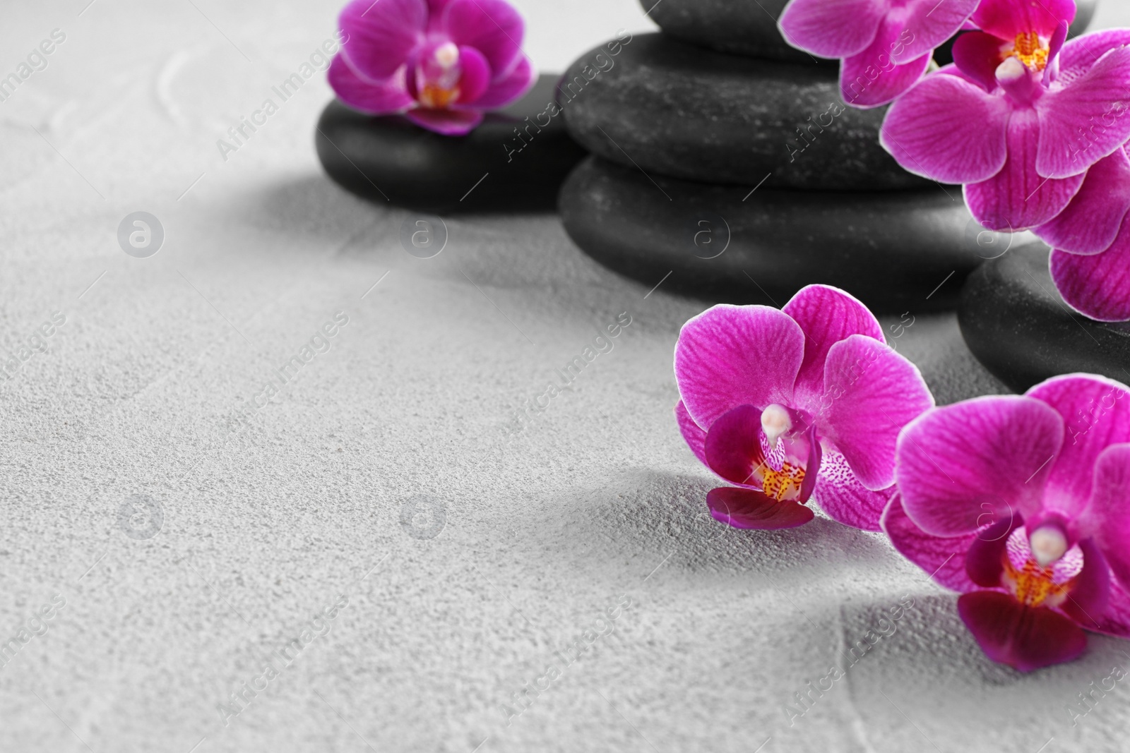 Photo of Orchid with spa stones on light grey background. Space for text