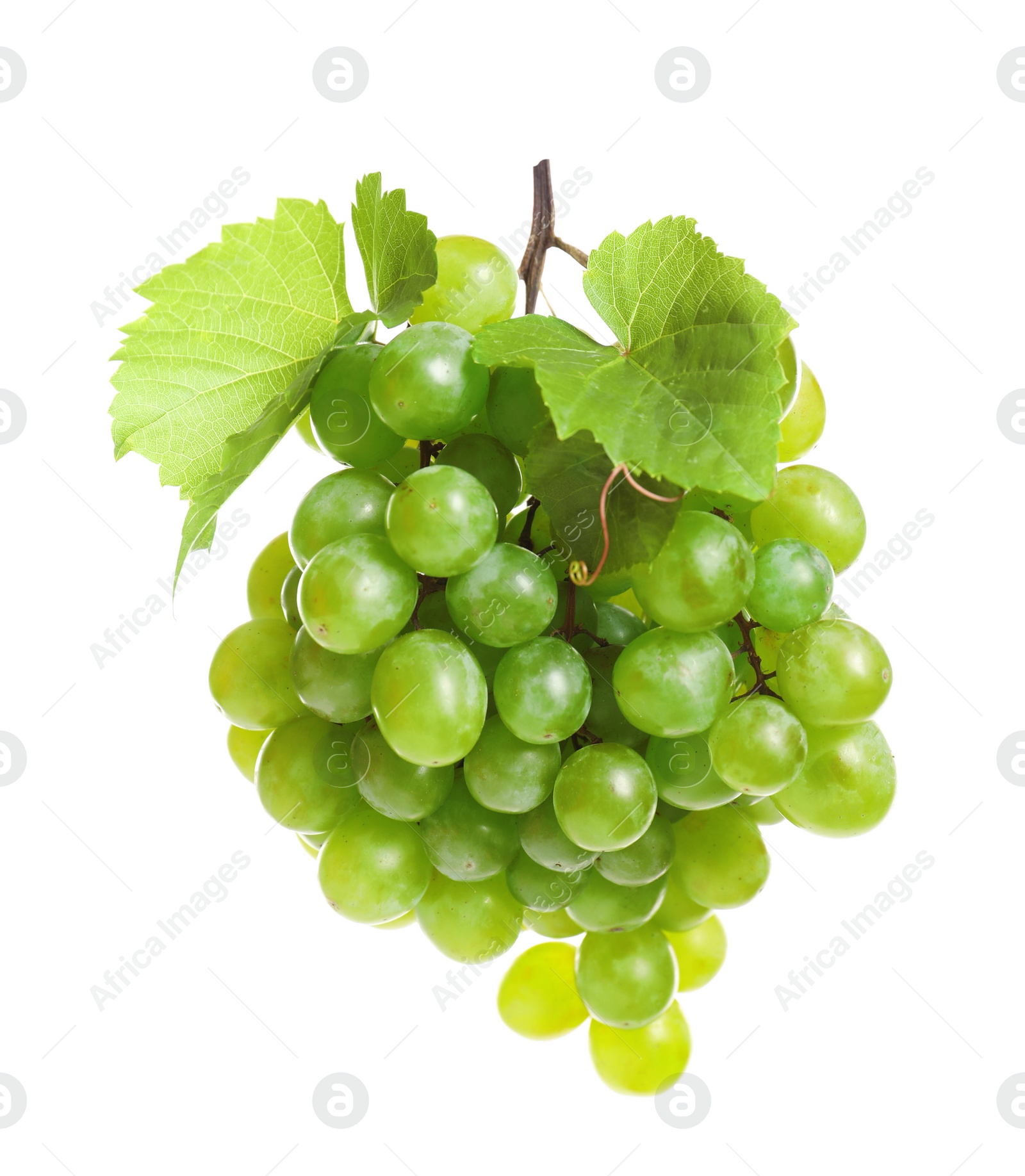 Photo of Bunch of fresh ripe juicy grapes on white background