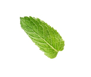 Fresh green mint leaf on white background