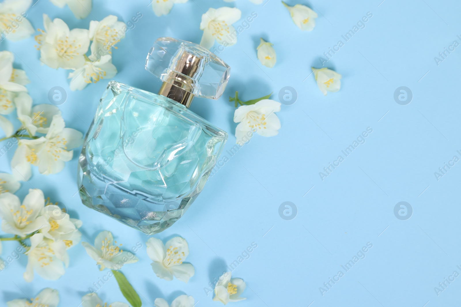 Photo of Aromatic perfume in bottle and beautiful jasmine flowers on light blue background, flat lay. Space for text