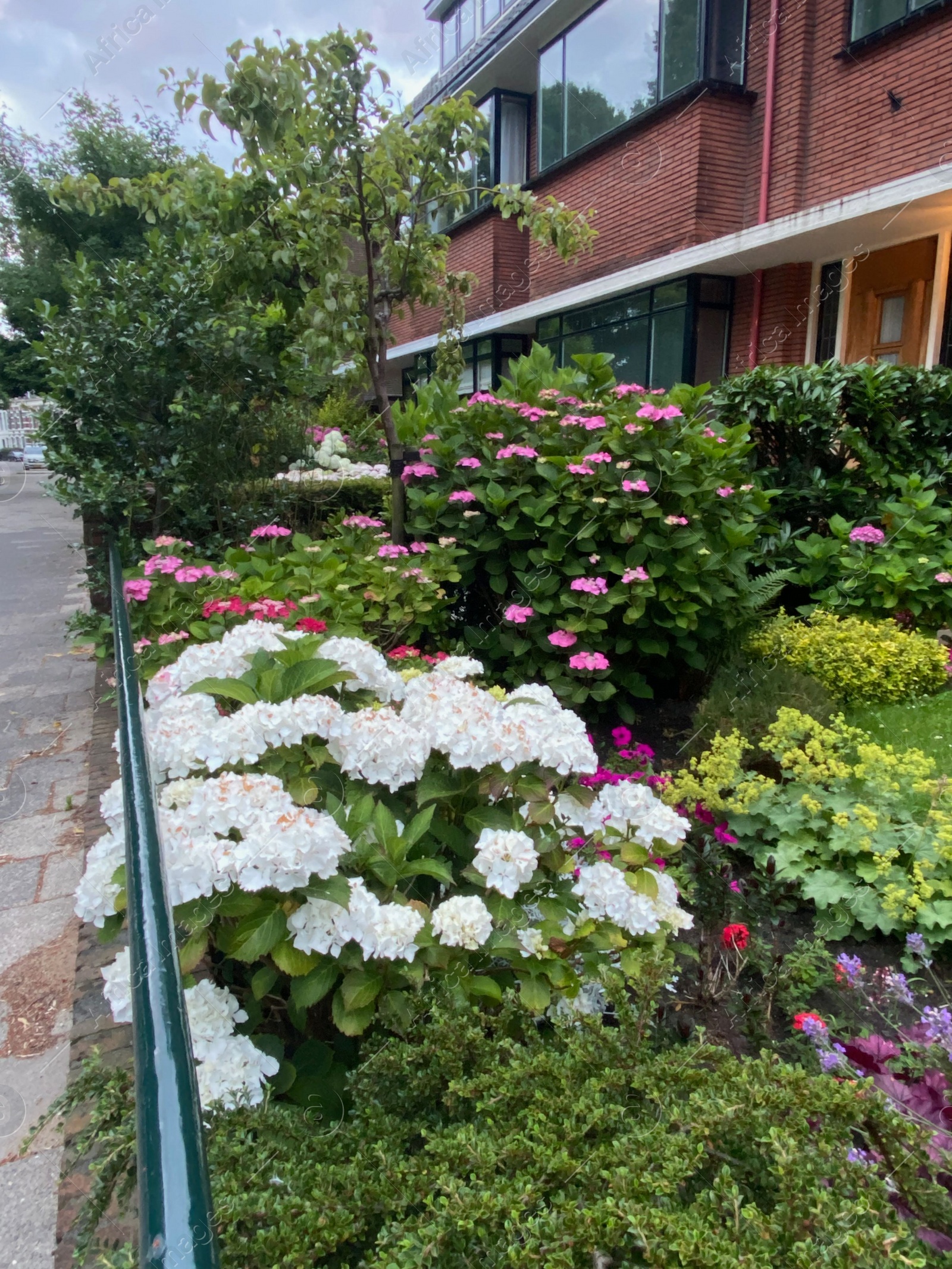 Photo of Beautiful flowerbed in front of brick house. Landscape design