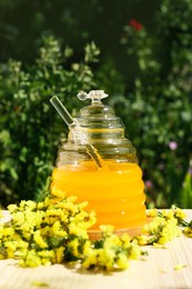 Photo of Delicious fresh honey and beautiful flowers on wooden table in garden