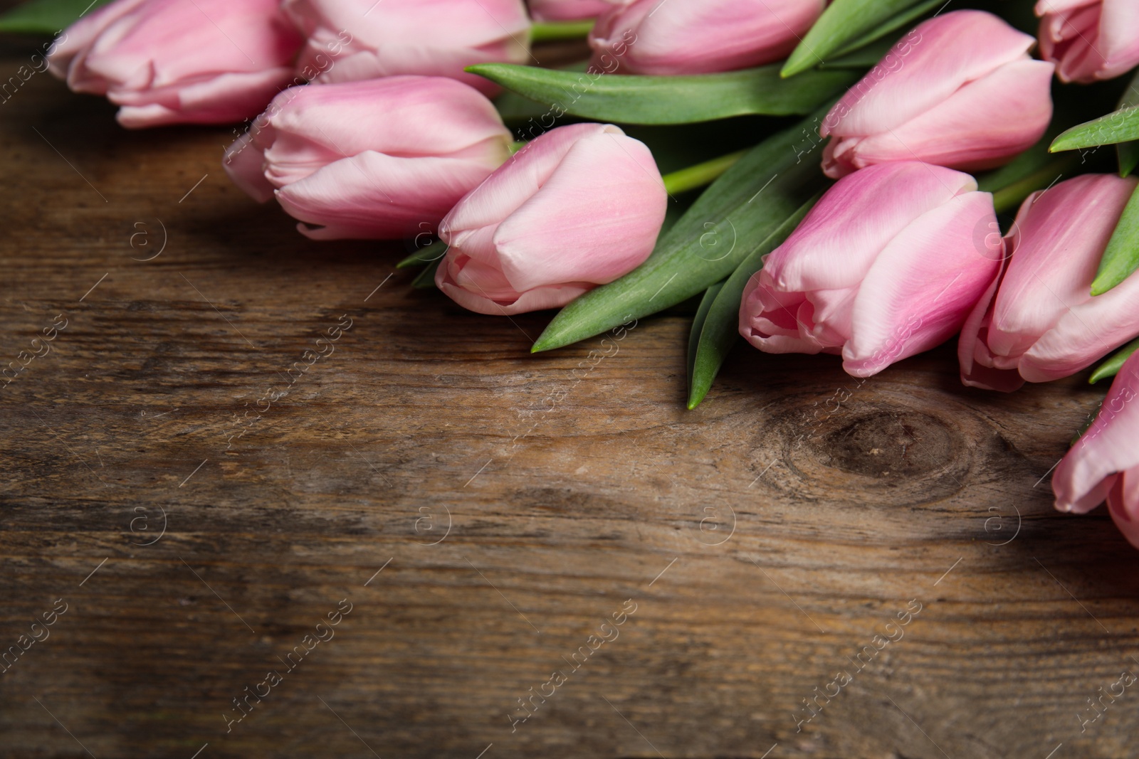 Photo of Beautiful pink spring tulips on wooden background, closeup. Space for text