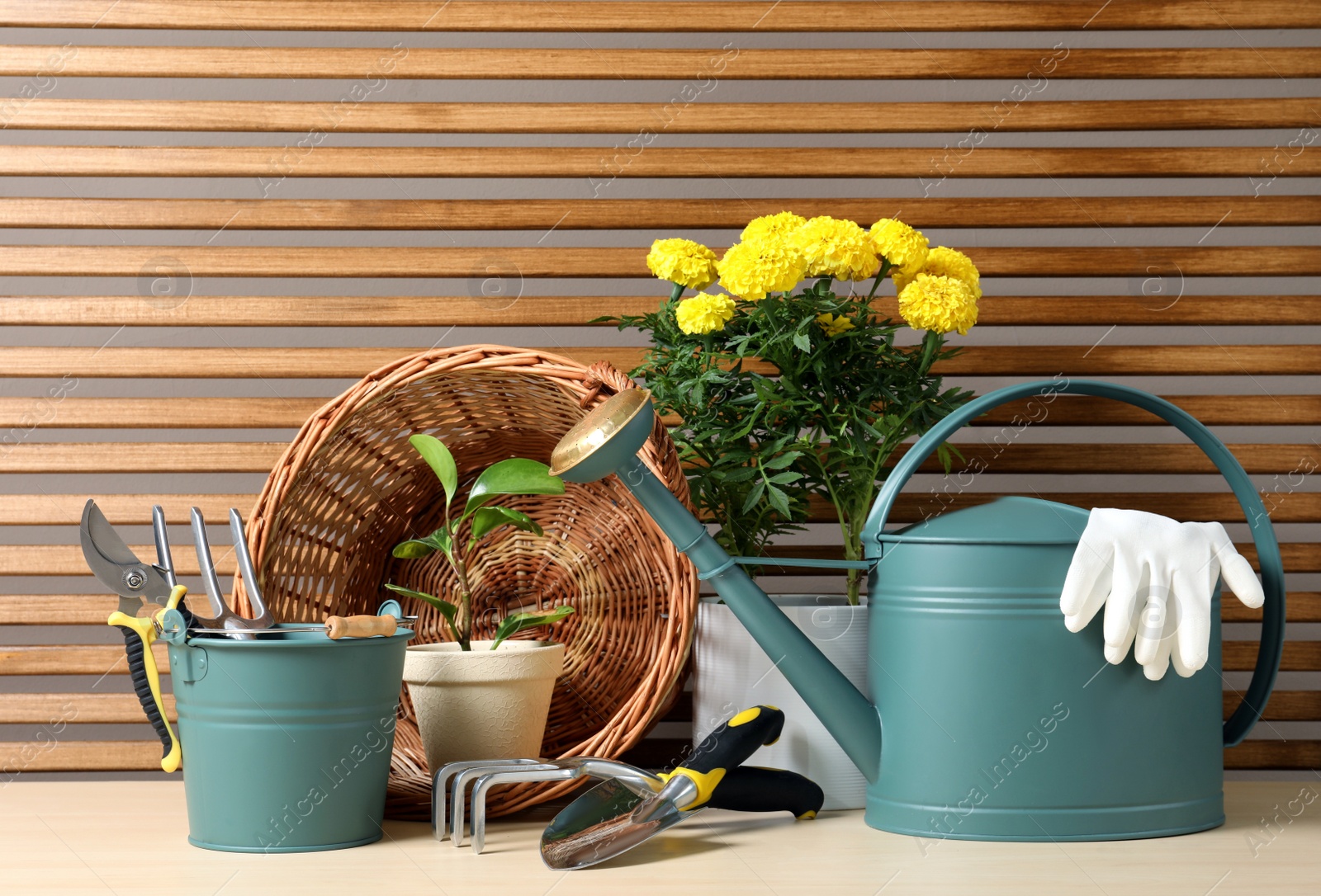 Photo of Gardening tools and houseplants on wooden table