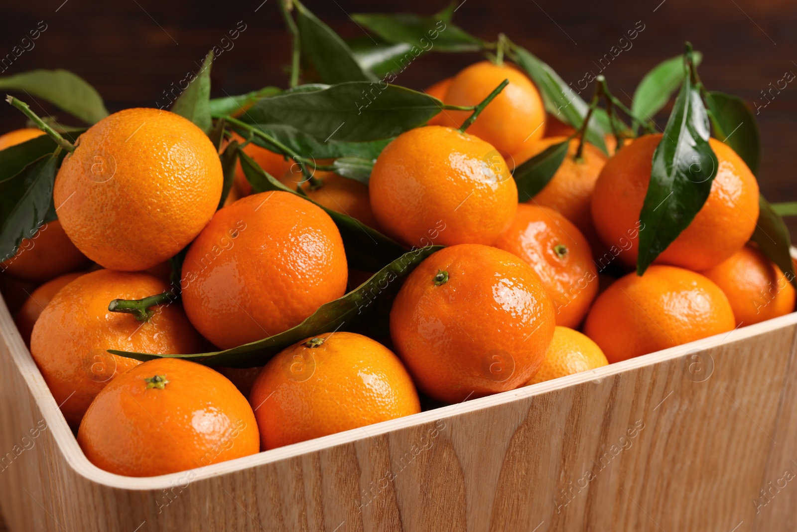 Photo of Fresh tangerines with green leaves in wooden crate, closeup