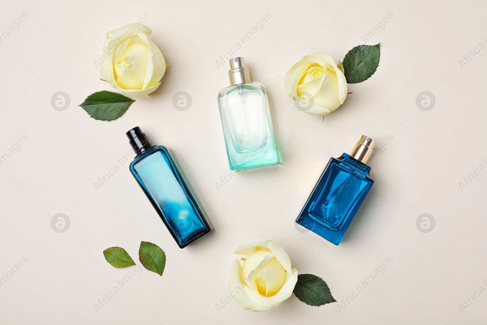 Photo of Bottles of perfume and roses on light background, top view