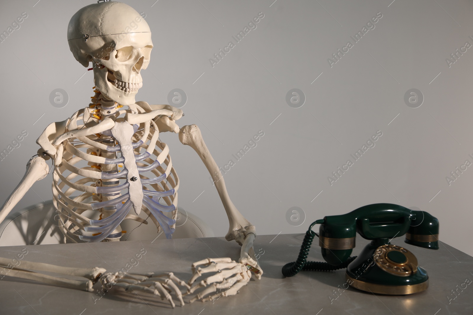 Photo of Waiting concept. Human skeleton at table with corded telephone against grey background