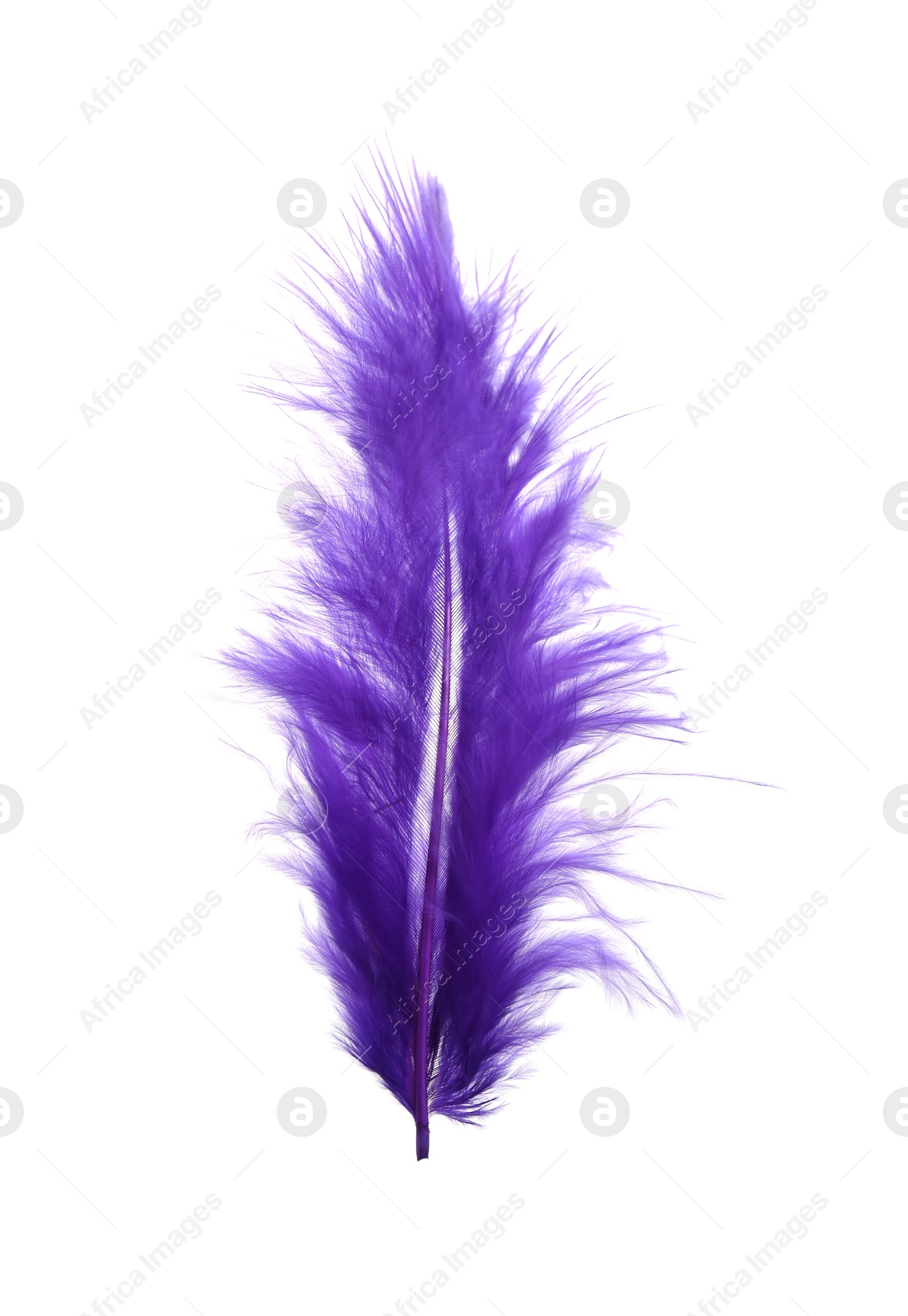 Photo of Fluffy beautiful purple feather isolated on white