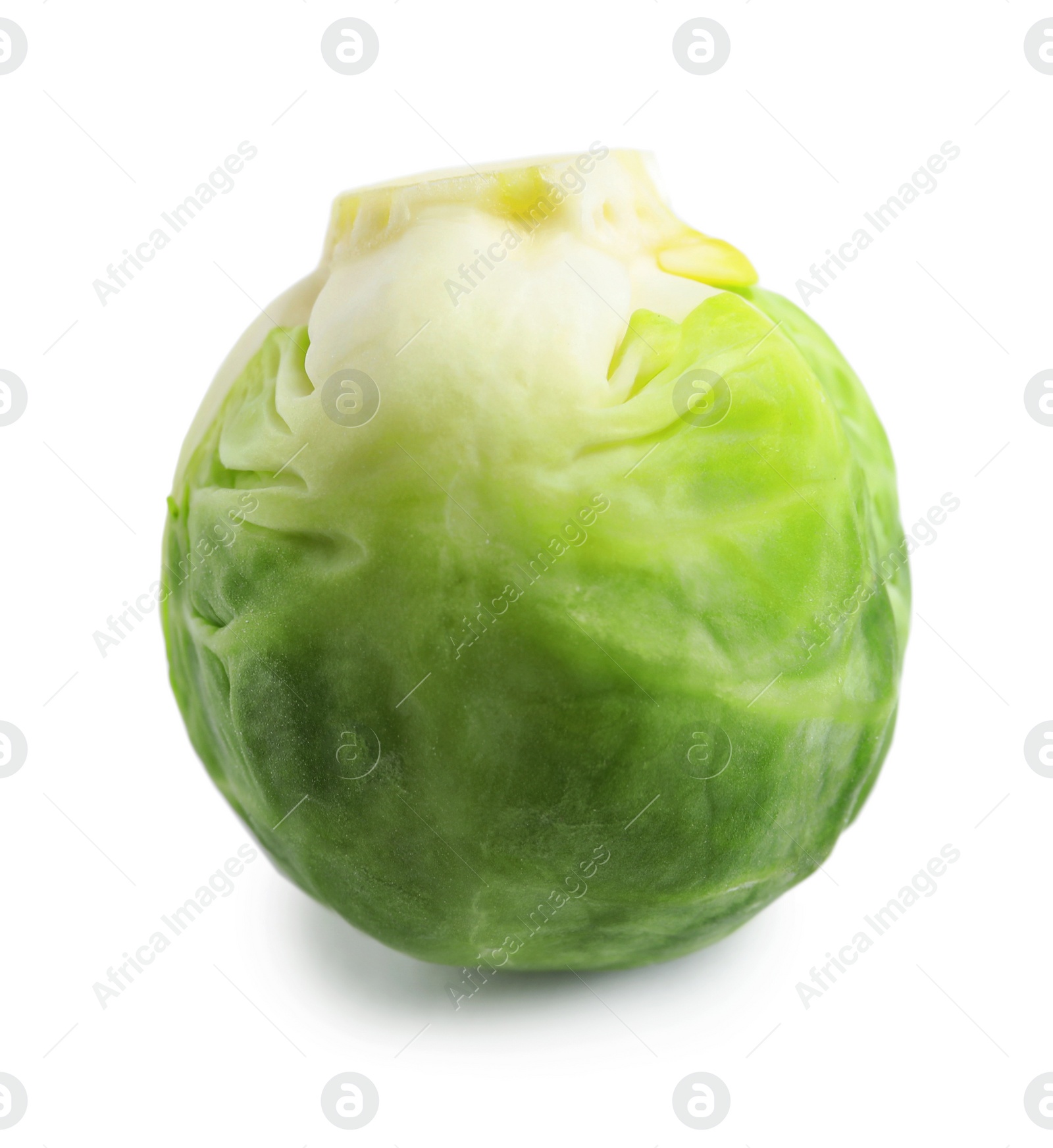 Photo of Fresh tasty Brussels sprout on white background