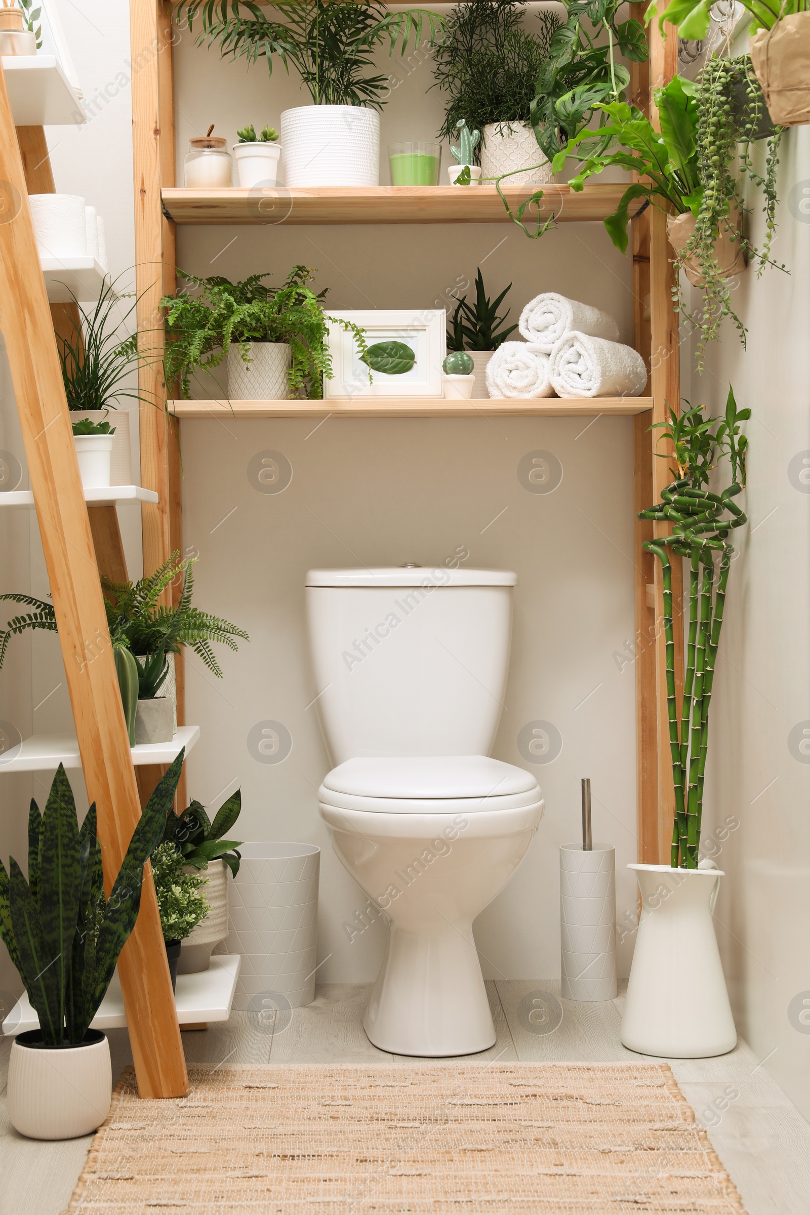 Photo of Stylish bathroom interior with toilet bowl and green plants