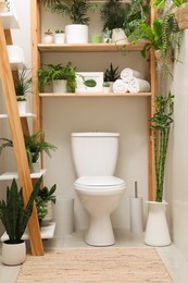 Photo of Stylish bathroom interior with toilet bowl and green plants