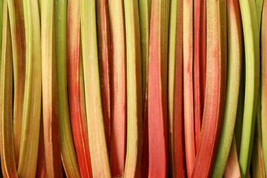 Many ripe rhubarb stalks as background, top view