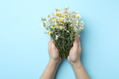 Photo of Woman holding chamomile bouquet on light background, top view