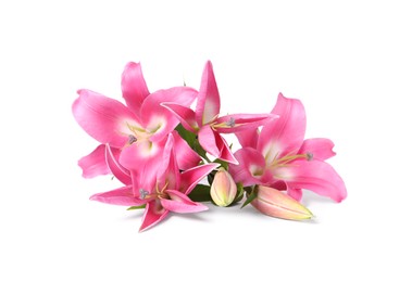 Photo of Beautiful pink lily flowers isolated on white