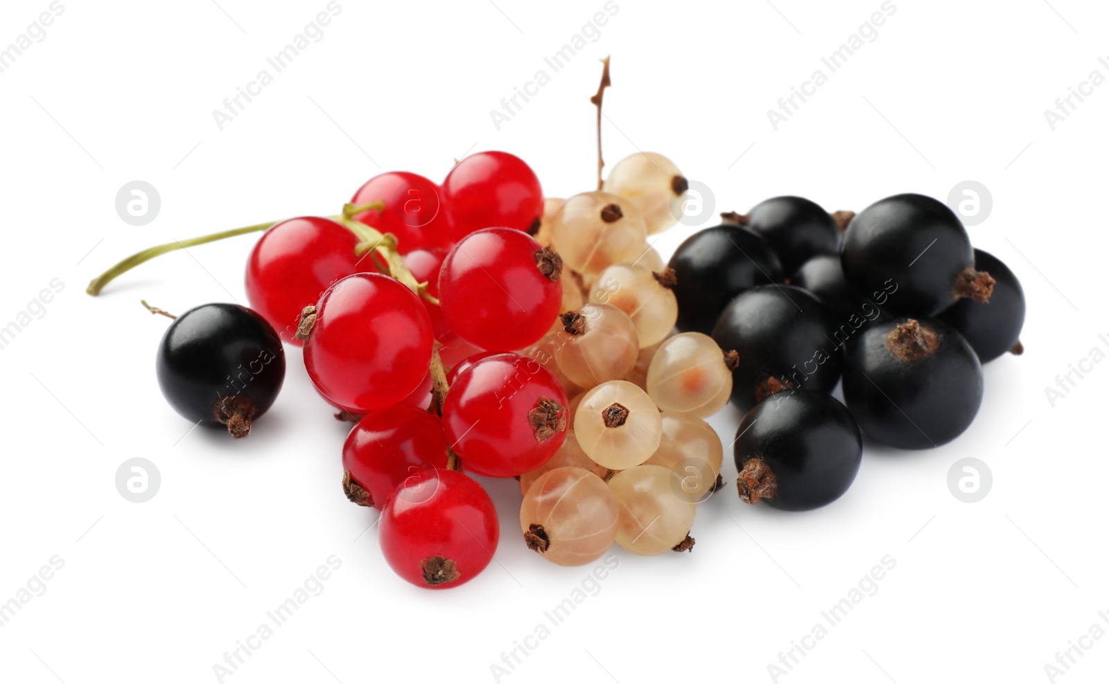 Photo of Fresh red, white and black currants isolated on white