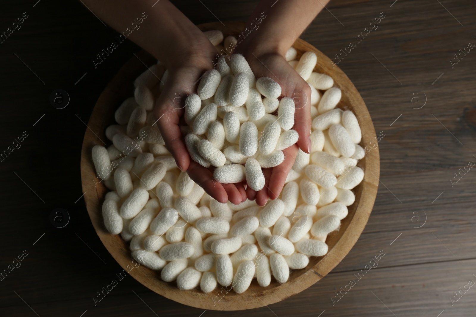 Photo of Woman holding white silk cocoons over bowl at wooden table, top view