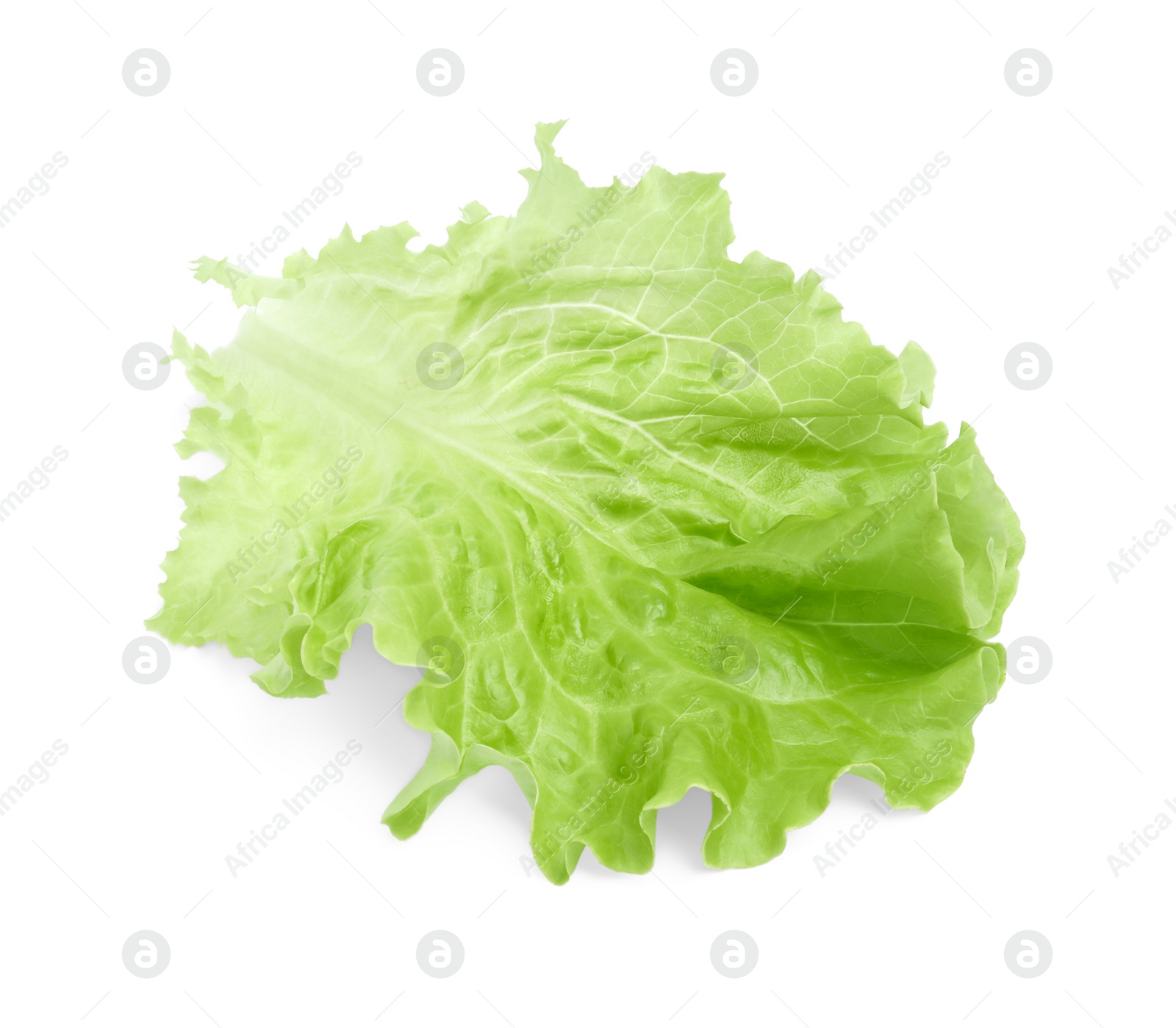 Photo of Fresh green lettuce leaf isolated on white