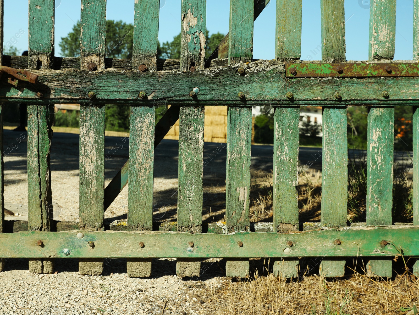 Photo of Old green wooden fence on sunny day