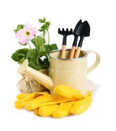 Watering can, flower and gardening tools on white background