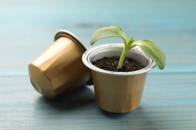 Photo of Coffee capsules with seedling on light blue wooden table, closeup
