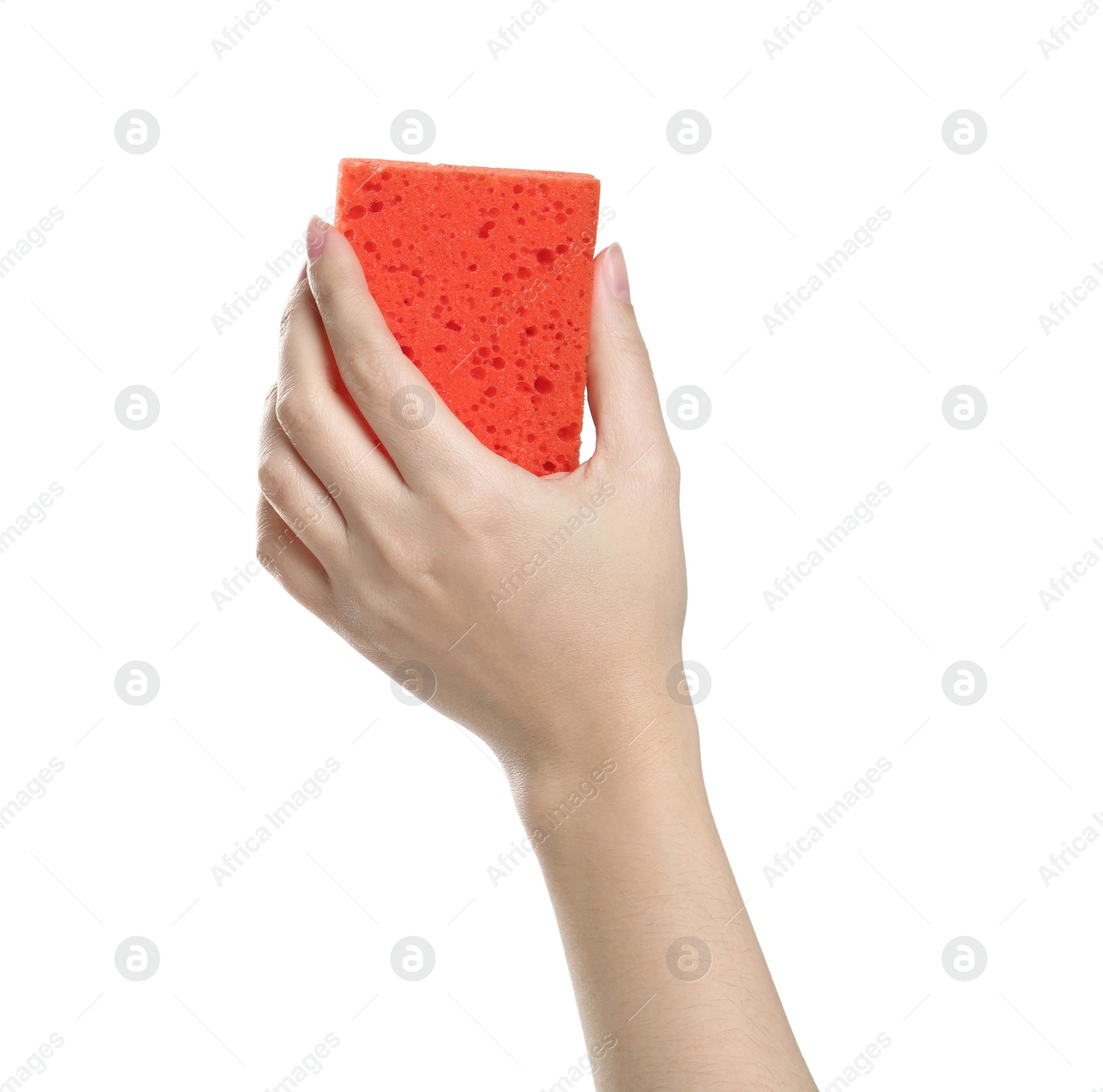 Photo of Woman with sponge on white background, closeup of hand