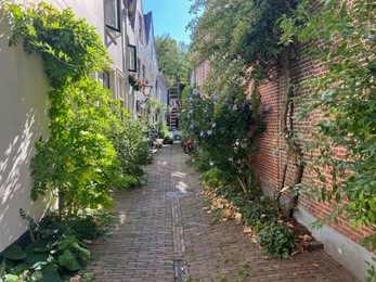 Photo of Leiden, Netherlands - August 03, 2022: Picturesque view of narrow city street on sunny day