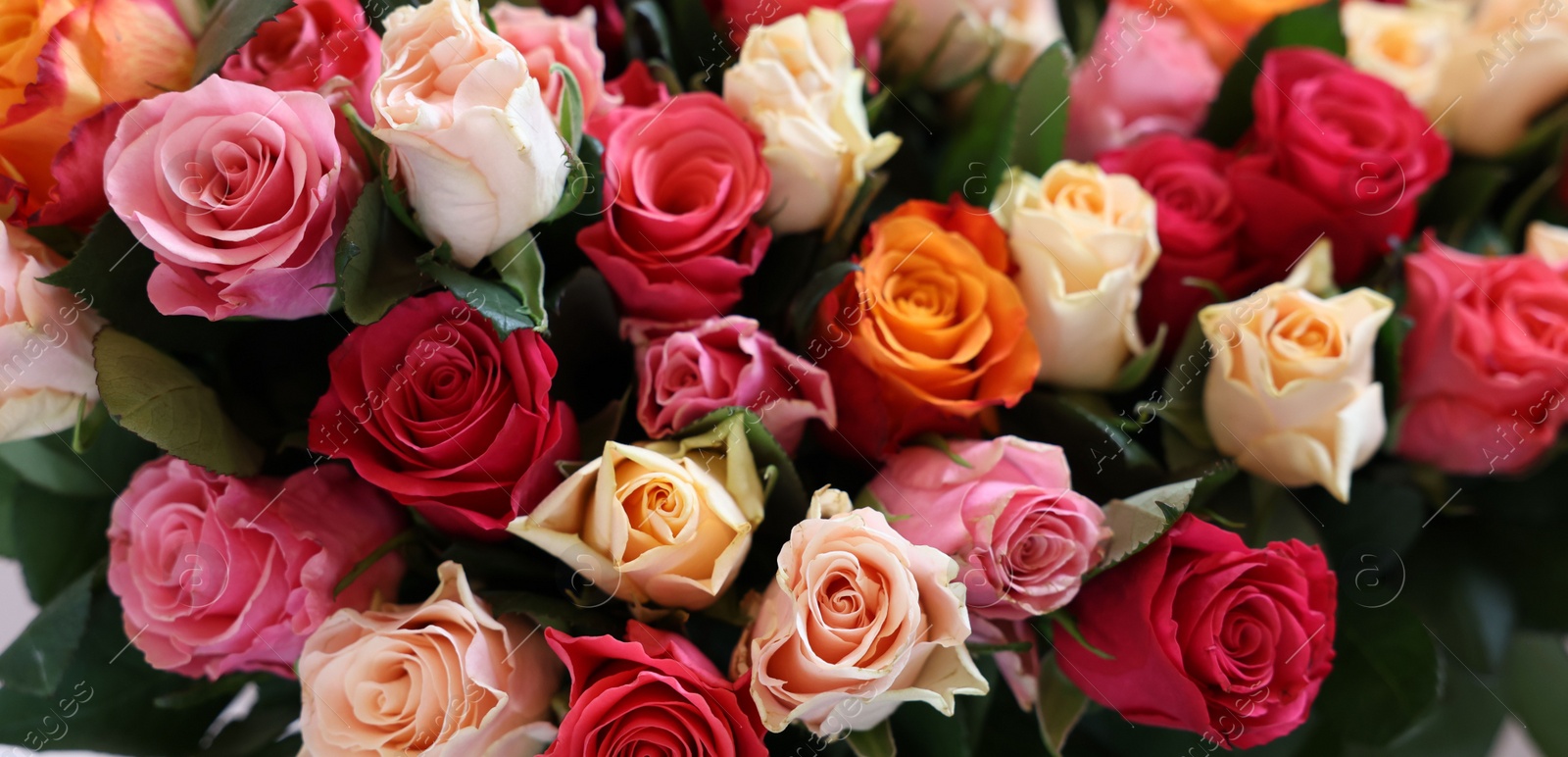 Photo of Bouquet of beautiful roses on light grey background, closeup