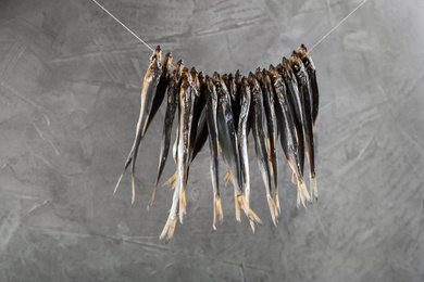 Dried fish hanging on rope against grey background