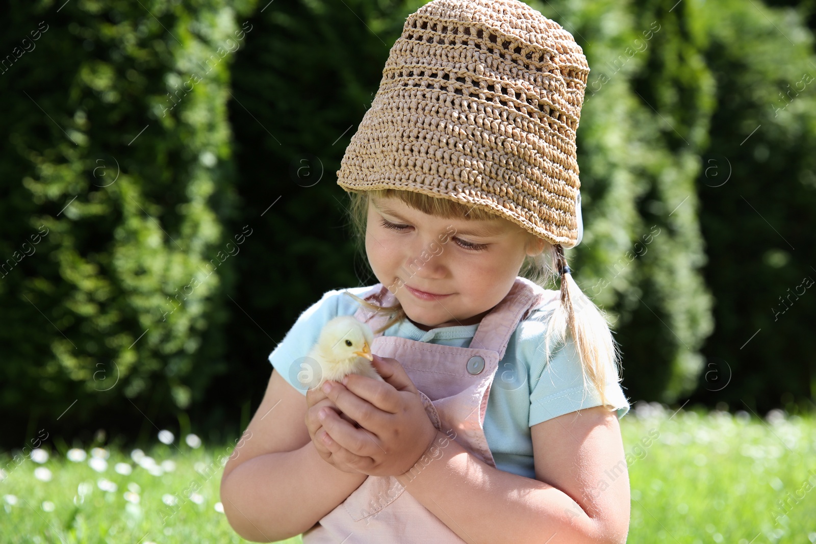 Photo of Cute little girl with chick outdoors. Baby animal