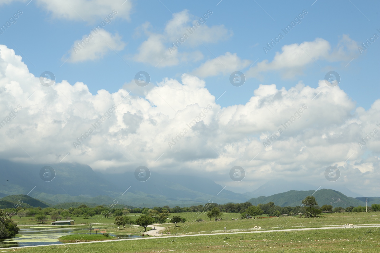 Photo of Picturesque view of safari park with animals and mountains