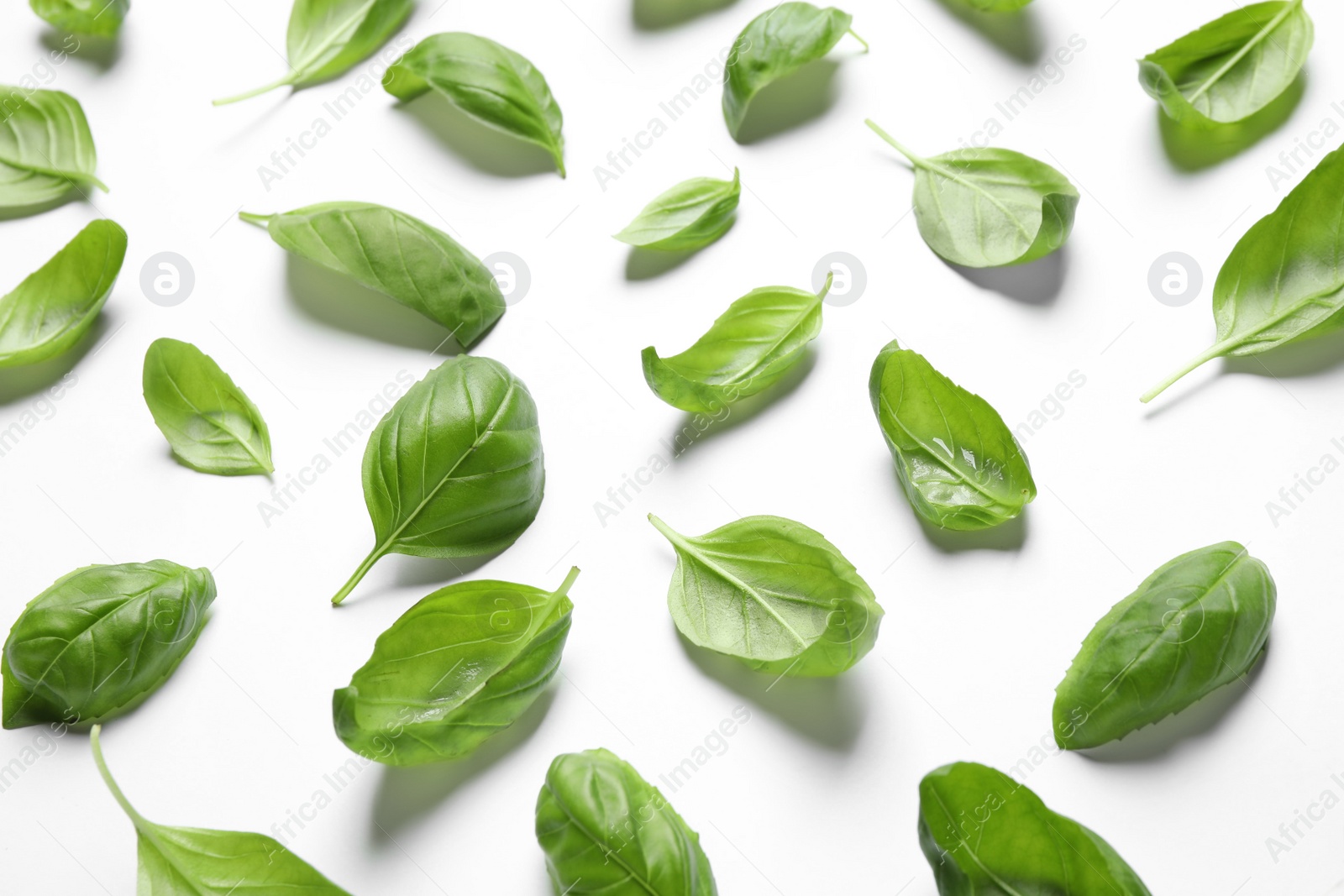 Photo of Fresh green basil leaves on white background